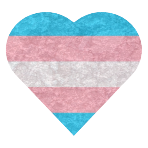 trans-heart-paint-made_1750103215.png