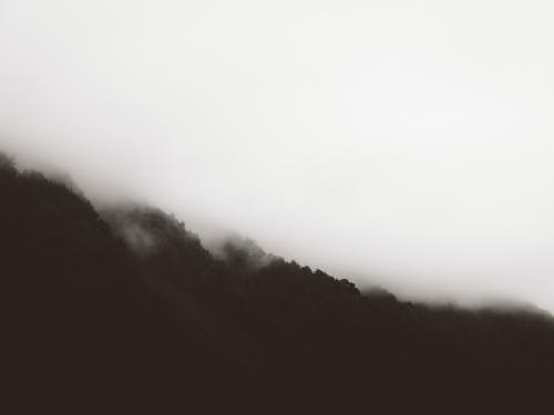 tyler-lastovich-mysyghr-eek-unsplash_1699984908.jpg