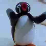 Penguin605 profile picture