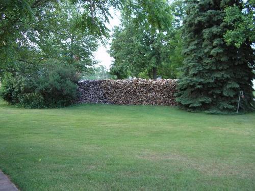 01-outside-wood-pile-01_1736729121.JPG