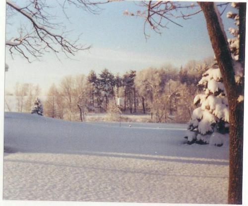 02-picture-7_1736121954.jpg