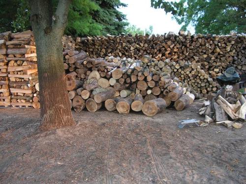 02-woodpile-update-2_1736702875.JPG