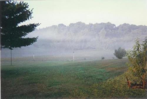 02_1736121723.JPG