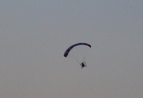 03-100-0687_1736126791.JPG