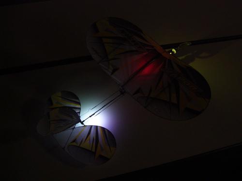 03-100-3830_1736722813.JPG