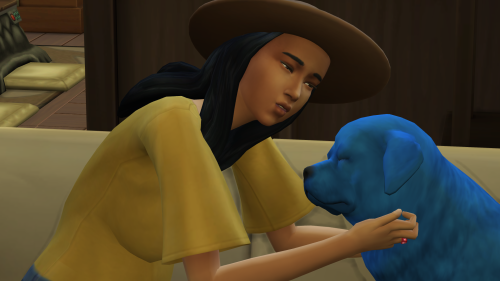 03-21-25-9-54-56-pm_1742616436.png