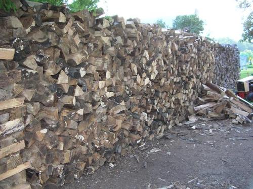 03-outside-wood-pile-03_1736729143.JPG