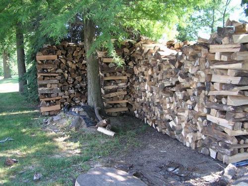 03-wood-pile-outside-03_1736729369.JPG