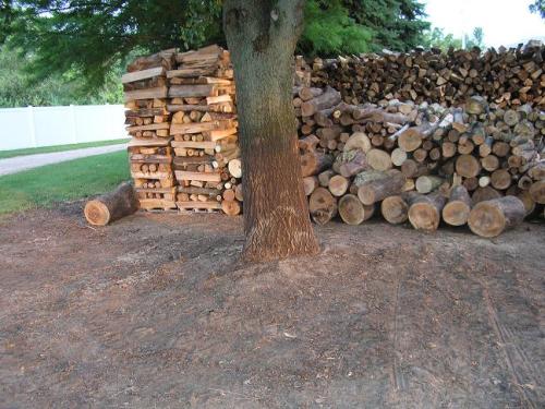 03-wood-pile-update-2_1736702887.JPG