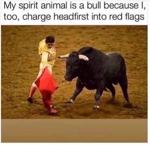03ba88e812858f210cfb3bc22b5f927c16358fe2-735-714-67749_1740480163.jpeg