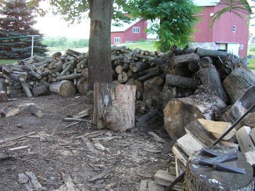 04-outside-wood-pile-04_1736729153.JPG