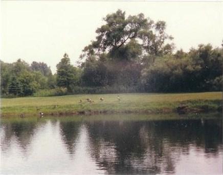 04-pond_1736121744.JPG