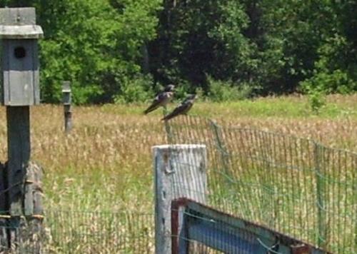05-100-0942crop_1736635500.JPG