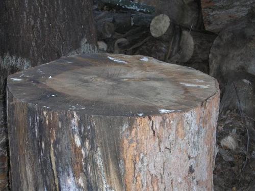 05-outside-wood-pile-05_1736729166.JPG