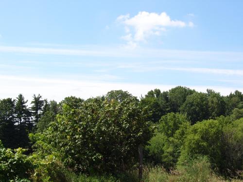 06-05-100-1039_1736126475.JPG