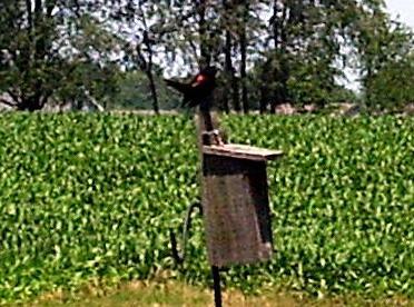 07-100-0949crop_1736635523.JPG