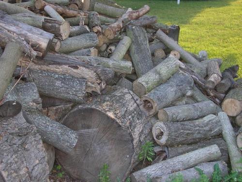 07-outside-wood-pile-07_1736729187.JPG