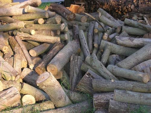 08-outside-wood-pile-08_1736729200.JPG