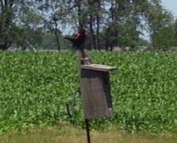 09-100-0950crop_1736635557.JPG