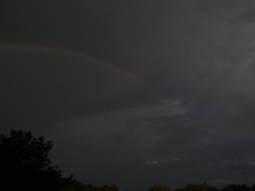 09-100-3374_1735708896.JPG