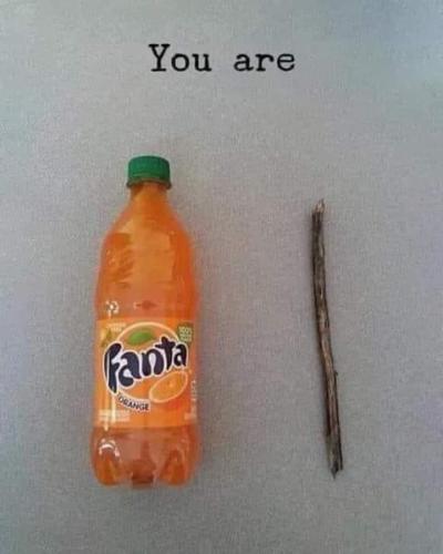 0bb03a74-7b2b-43df-a507-9e7acee4f18f_1689042310.jpeg