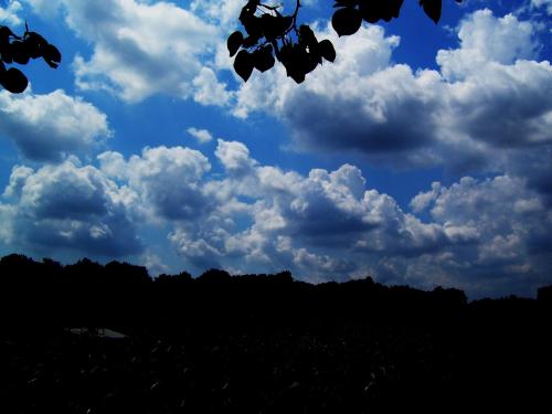 100-1040_1735705611.JPG