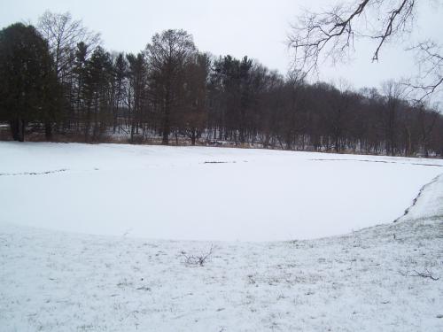 100-3823_1736722509.JPG