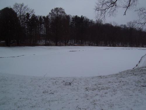 100-3824_1736722525.JPG