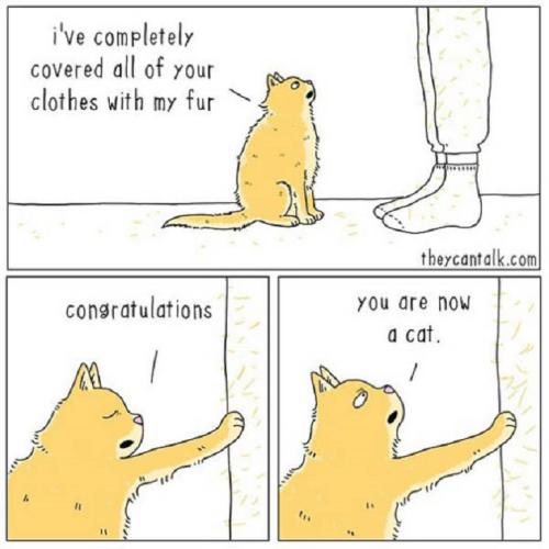 1000000510_1752242179.jpg