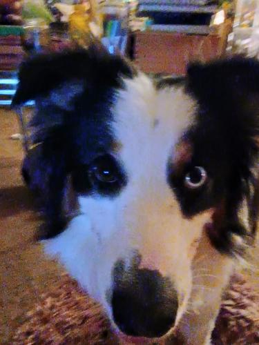 1000002198_1715266039.jpg