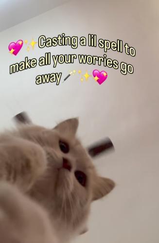 1000012715_1789223259.jpg