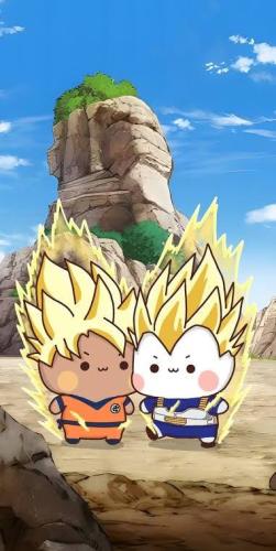 1000018784_1769844337.jpg