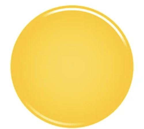 1000098860_1763489937.jpg