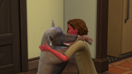 12-17-25-9-15-30-pm_1766779424.png