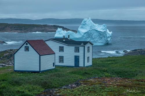 17309560-5f0a-4746-b9ef-2c6a1fbccfe5_1680880258.jpeg