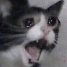 17877832304744777303739970749847_1787783238.jpg