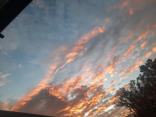 20260515-071822_1780478495.jpg