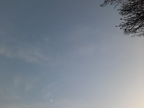 20260709-073648_1783548118.jpg