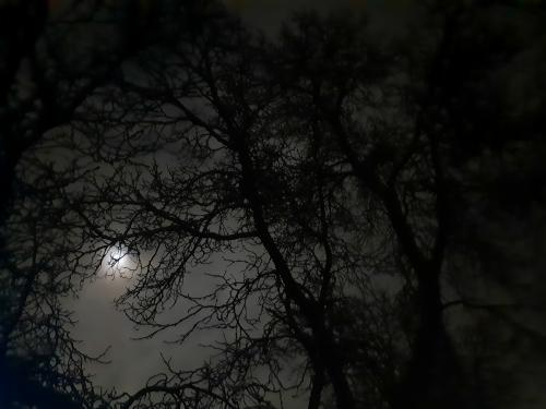 20260731-045403_1785451818.jpg