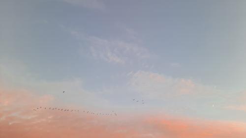 20260808-071825-1_1786139702.jpg