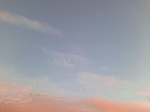20260808-071825_1786138406.jpg