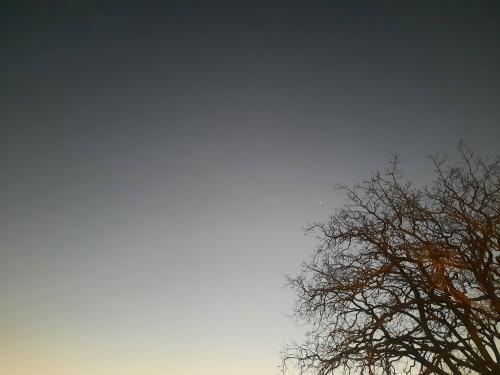 20260830-183143_1788078999.jpg