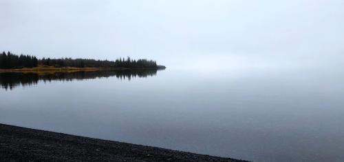 20_1763770438.jpg