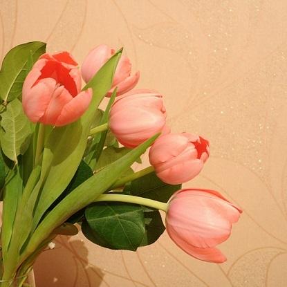 2_1743347399.jpg