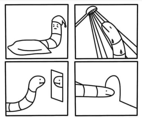 480924717-1026269346189520-3552604765901394586-n_1741143416.jpg