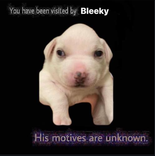502483848-1002463095379766-2613658694147827452-n_1748998531.jpg