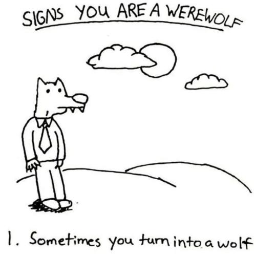 504920629-1173514208150197-1949807843532811262-n_1749619004.jpg