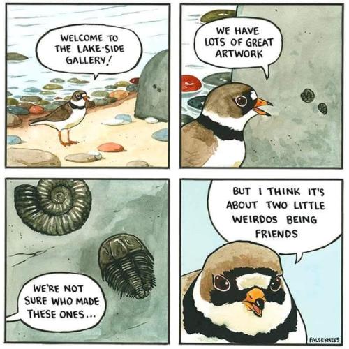 514023980-10235779554085841-3632322386917102779-n_1762059772.jpg