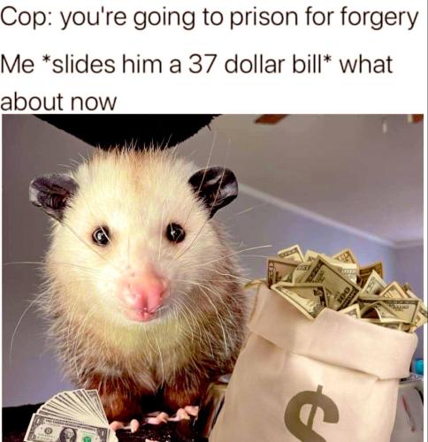 524589722-1069004535335239-8192783743732624154-n_1753678909.jpg