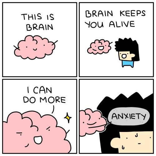 528045908-1174001214771038-1309376646079698090-n_1754372151.jpg